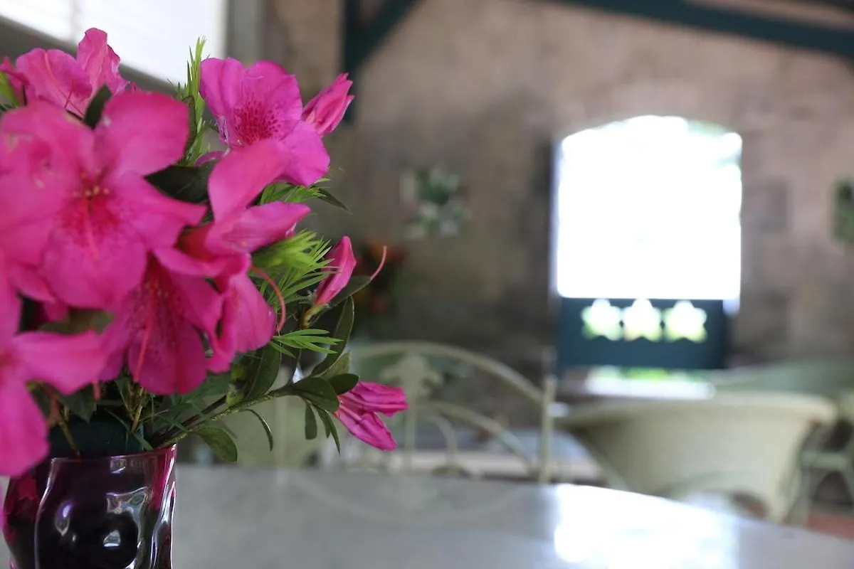 La Petite Distillerie, Sur Un Domaine Historique Saint-Pierre Μαρτινίκα