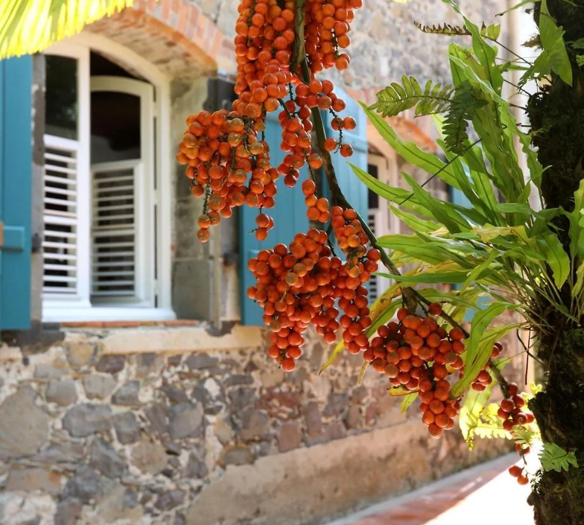 La Petite Distillerie, Sur Un Domaine Historique Saint-Pierre 0*,